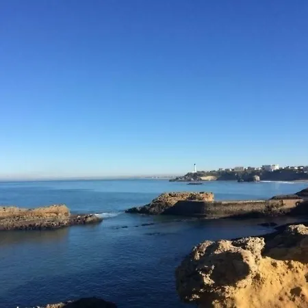 Air Marin - - 70 Mètres De La - Ocean View - Hypercentre *