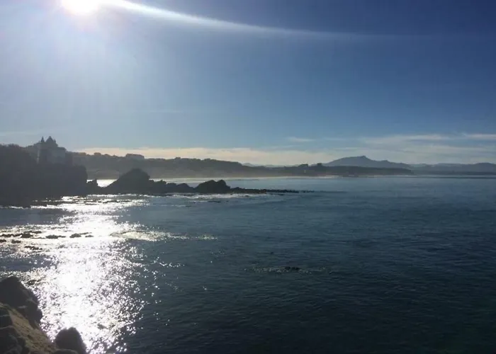 Air Marin - - 70 Mètres De La - Ocean View - Hypercentre Appartement *