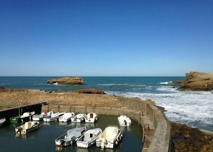 Air Marin - - 70 Metres De La - Ocean View - Hypercentre Lägenhet Biarritz