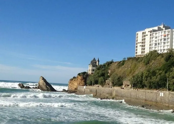 Air Marin - - 70 Metres De La - Ocean View - Hypercentre Lägenhet Biarritz