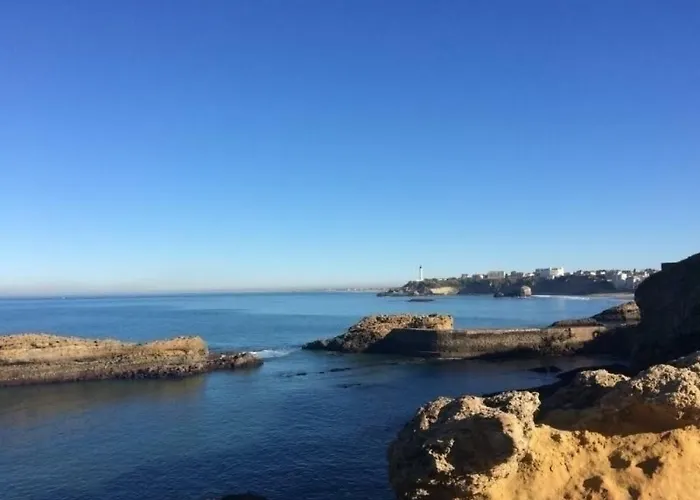 Air Marin - - 70 Metres De La - Ocean View - Hypercentre *