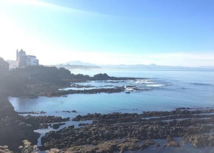 Air Marin - - 70 Metres De La - Ocean View - Hypercentre Lägenhet