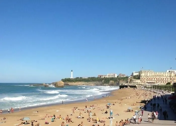 Air Marin - - 70 Metres De La - Ocean View - Hypercentre Lägenhet